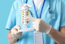 Pedículos vertebrais