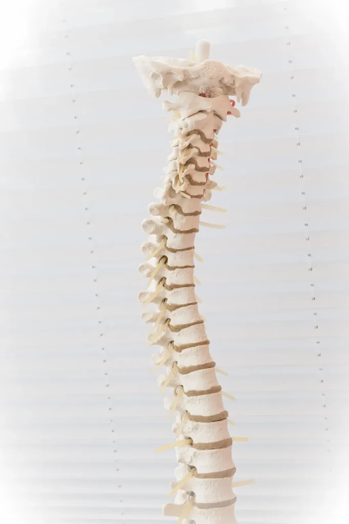 Osteopenia na Coluna