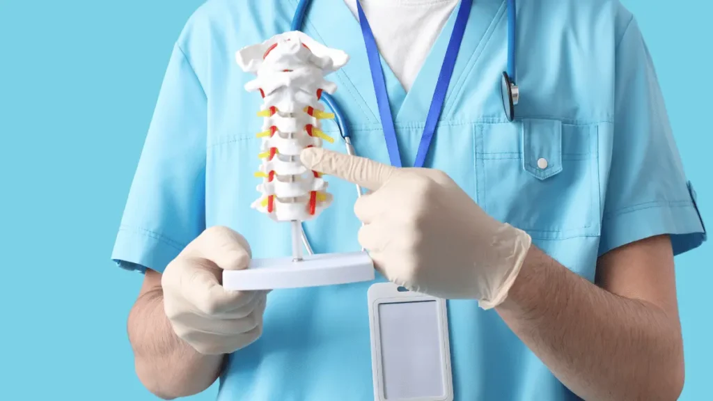 Pedículos vertebrais